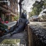 Okey Pfannerstill Profile Picture