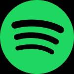 Spotify Profile Picture